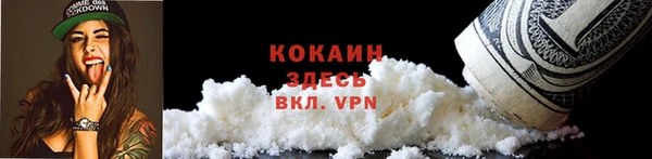 шишки Армянск