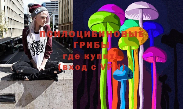 каннабис Аркадак