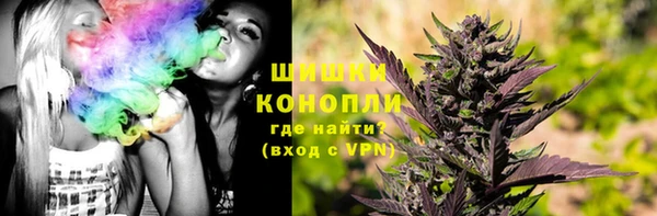 шишки Армянск