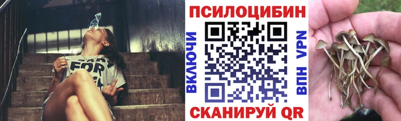 магазин  наркотиков  Печоры  Псилоцибиновые грибы Cubensis 
